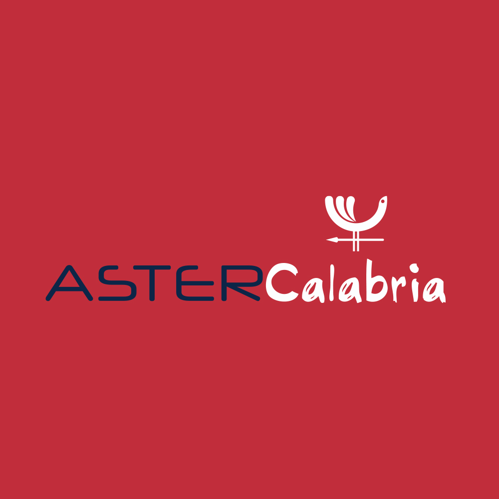 image IX EDIZIONE ASTER CALABRIA